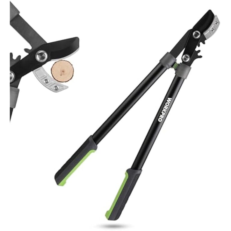 41idszwpjjl. ac us800 .jpg