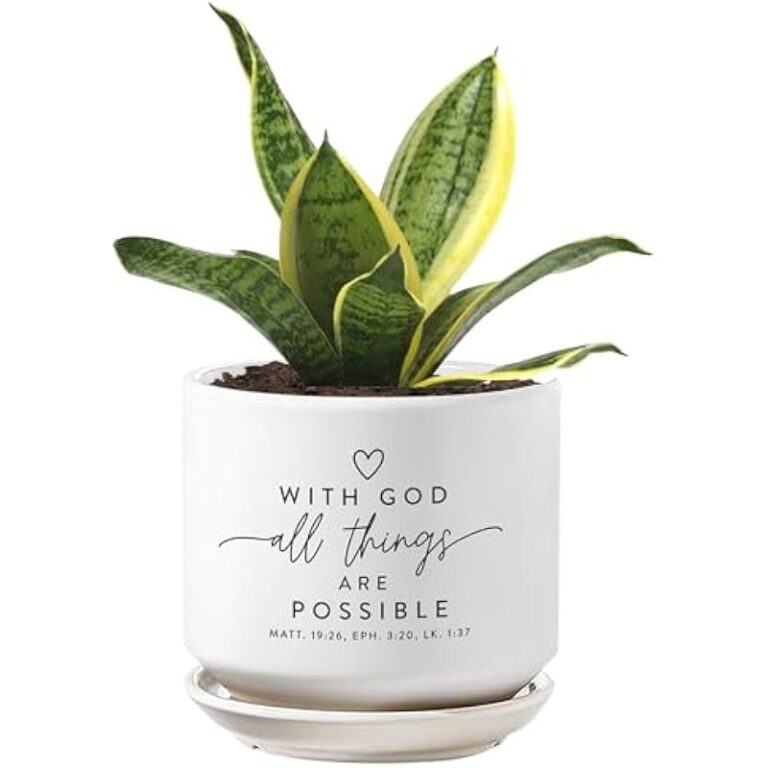 41jci5okinl. ac us800 .jpg