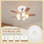 41jxfo3k6yl. ac us800 .jpg