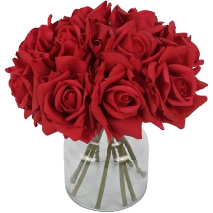 41k0jg1xkvl. ac us800 .jpg