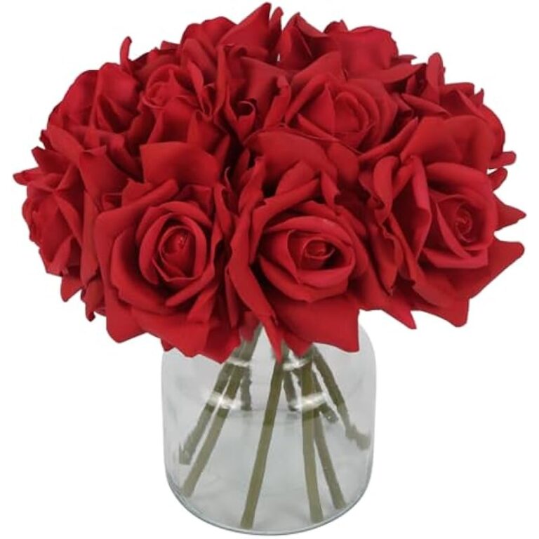 41k0jg1xkvl. ac us800 .jpg