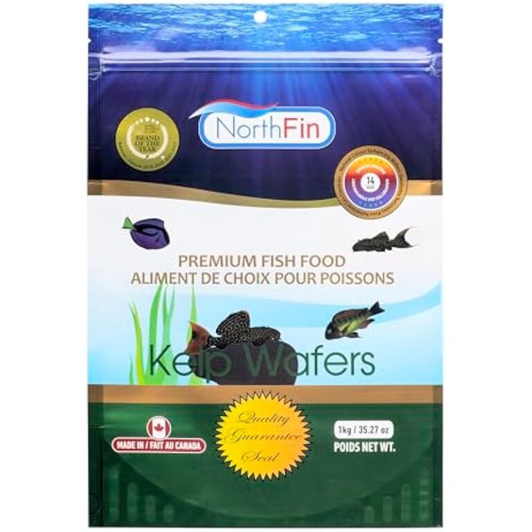 41kx7bpgrl. ac us800 .jpg