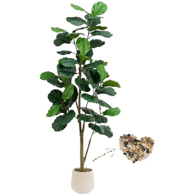 41l7tjfnytl. ac us800 .jpg