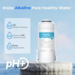 41lxksnlzll. ac us800 .jpg