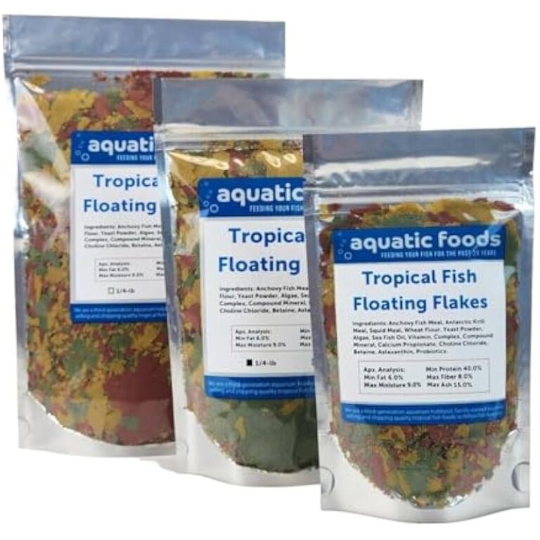 41m0koeqycl. ac us800 .jpg