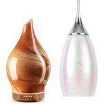 41nkobg6nml. ac us800 .jpg