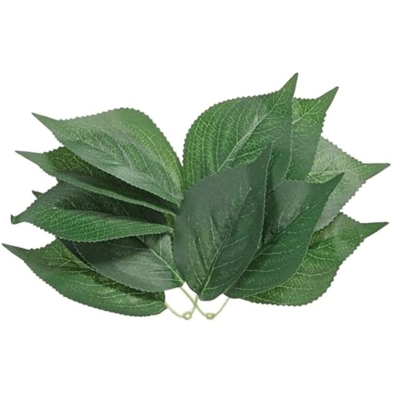 41nnv8lvapl. ac us800 .jpg