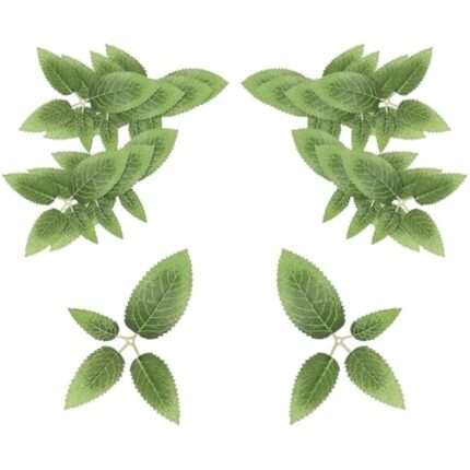 41ofcnpvr0l. ac us800 .jpg