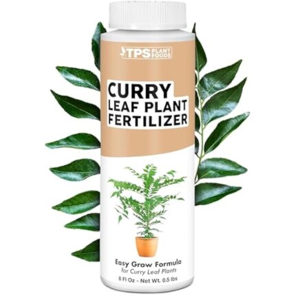 41ogasdplrl. ac us800 .jpg