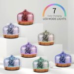 41oloyzvzql. ac us800 .jpg