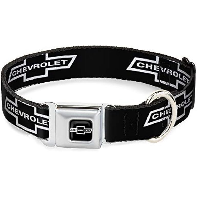 41os7ymbjll. ac us800 .jpg