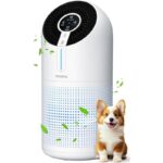 41owydlf1wl. ac us800 .jpg