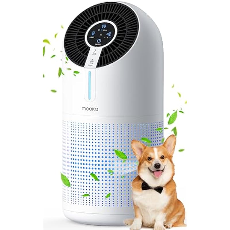 41pkk2ecodl. ac us800 .jpg