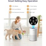 41pztqbnlil. ac us800 .jpg