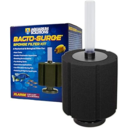 41q7eucobl. ac us800 .jpg