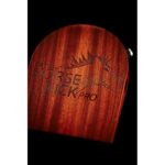 41qivrtchgl. ac us800 .jpg