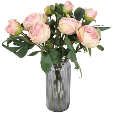 41qx2apesil. ac us800 .jpg