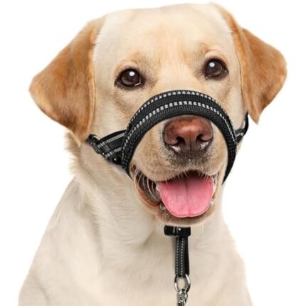 41r zddjnjl. ac us800 1.jpg