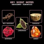 41r8rvpoegl. ac us800 .jpg