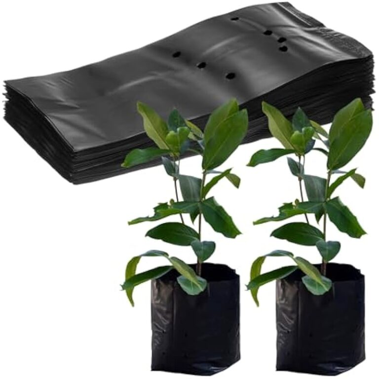 41rl47plel. ac us800 3.jpg