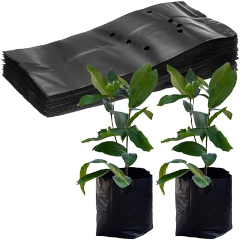 41rl47plel. ac us800 3.jpg