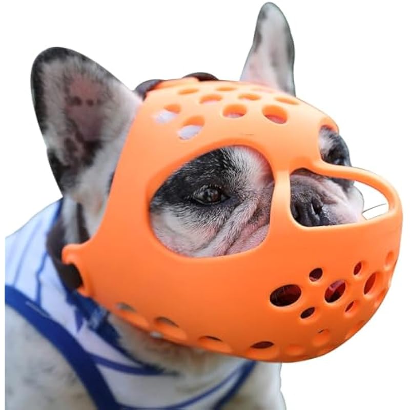 41rfji8ogrl. ac us800 .jpg