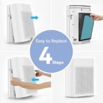 41rg7lsbrkl. ac us800 .jpg