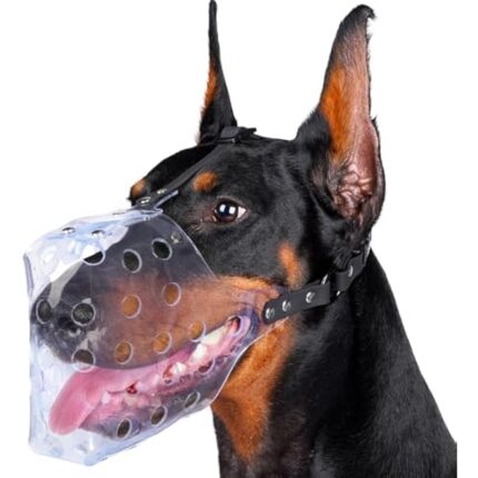 41rmfwyq4l. ac us800 .jpg