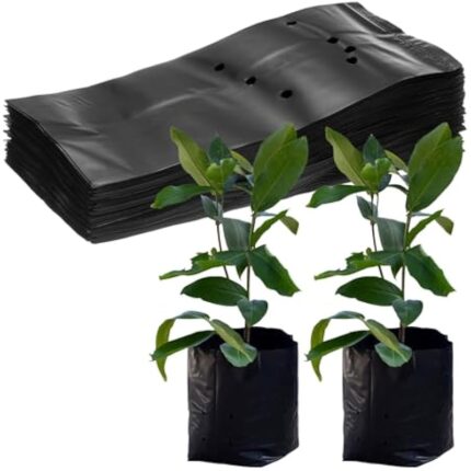 41s8c642dyl. ac us800 3.jpg