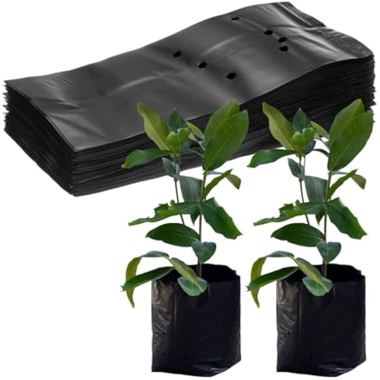 41s8c642dyl. ac us800 3.jpg