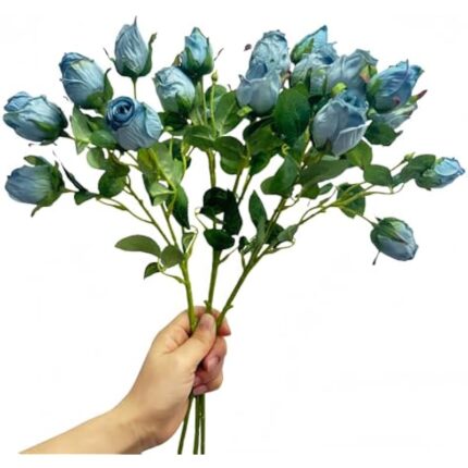 41svut2lgl. ac us800 .jpg