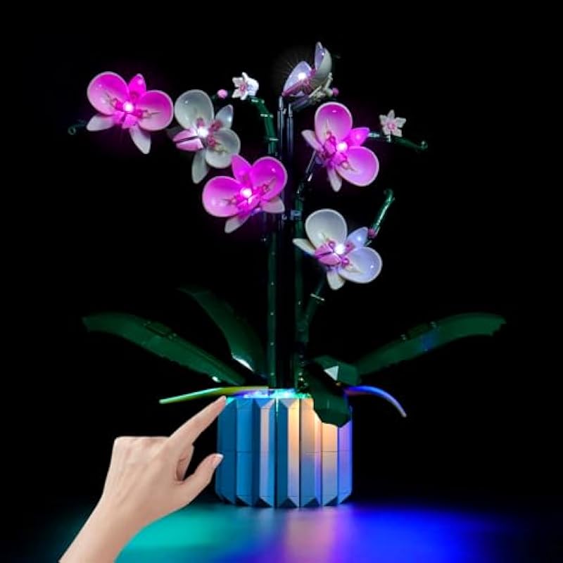 41smohul4hl. ac us800 .jpg