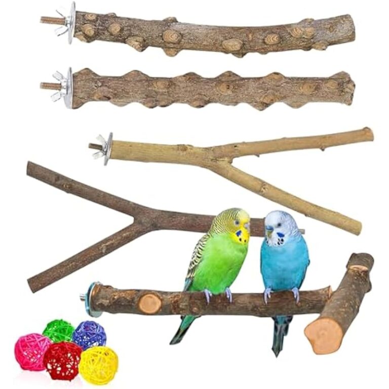 41t3nenlahl. ac us800 .jpg