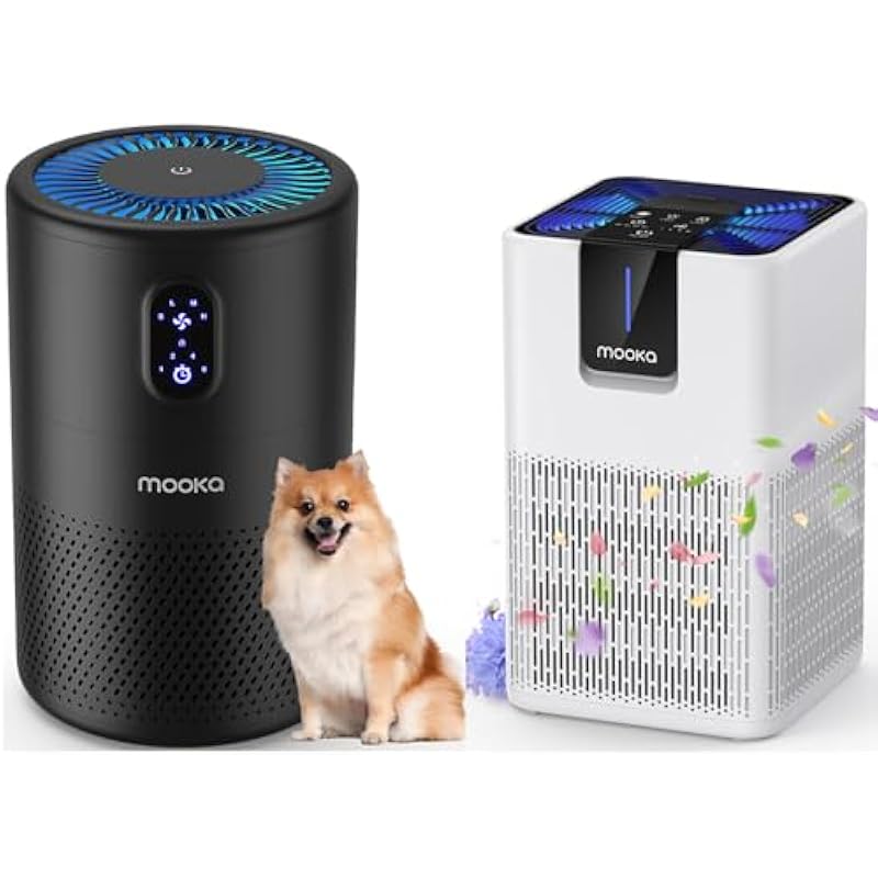 41tpk8boztl. ac us800 .jpg