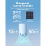 41tpqtmtqol. ac us800 .jpg