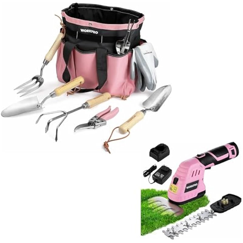 41tpqhnorjl. ac us800 .jpg