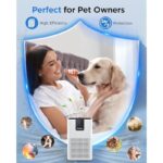 41u1smfblvl. ac us800 .jpg