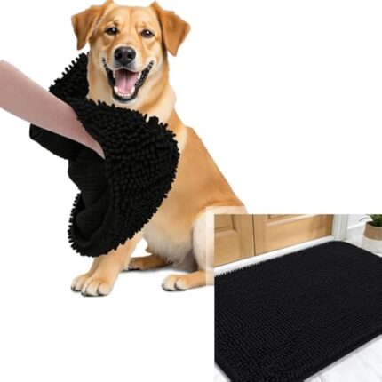 41u8iqxjrwl. ac us800 .jpg