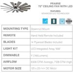 41usyoxuxkl. ac us800 .jpg