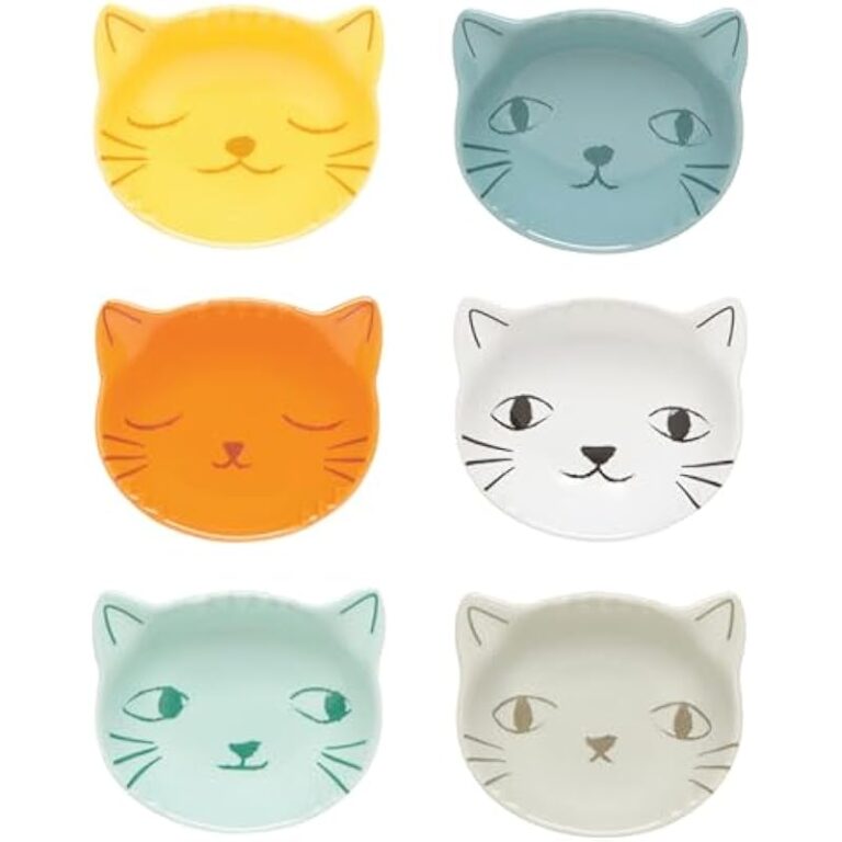 41v7tzdfezl. ac us800 .jpg