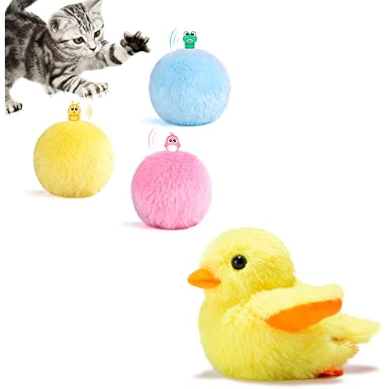 41vdziqkxml. ac us800 .jpg