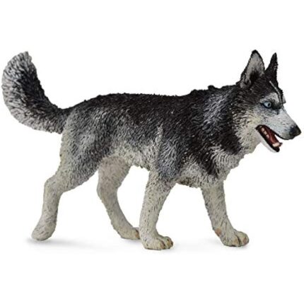 41vjkd xyyl. ac us800 .jpg