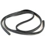 41w 9xylzkl. ac us800 .jpg