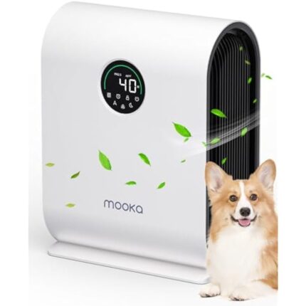 41w2hdyryl. ac us800 .jpg