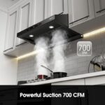 41wwpfpj kl. ac us800 .jpg