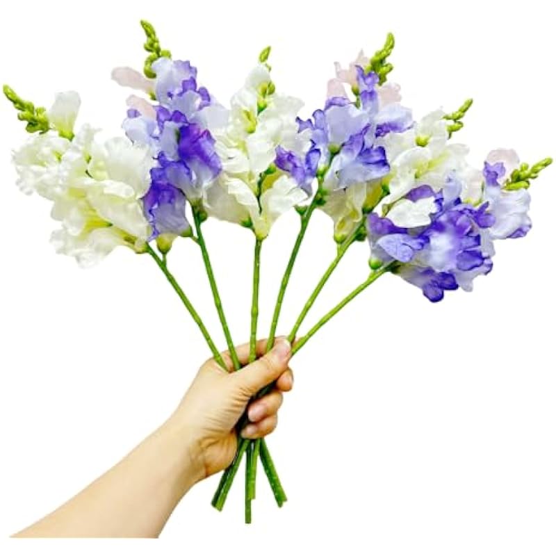 41xdetzuehl. ac us800 .jpg