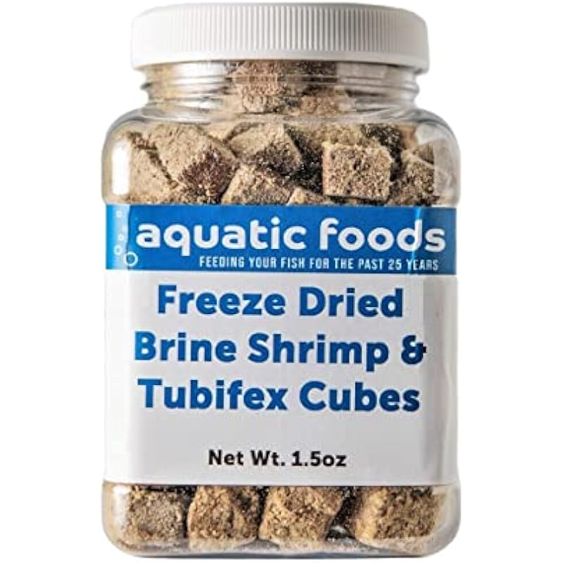 41xdbkxuk l. ac us800 .jpg