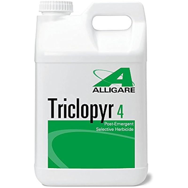 41xqcq6xjgl. ac us800 .jpg