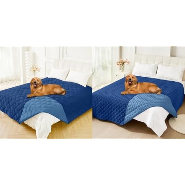 41xxgnpllrl. ac us800 .jpg