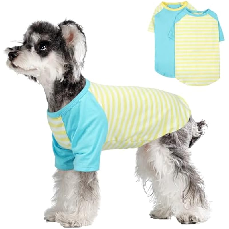 41xfbid5odl. ac us800 .jpg